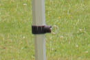 Leg Locking Joint/Knee Joint (includes locking pin)